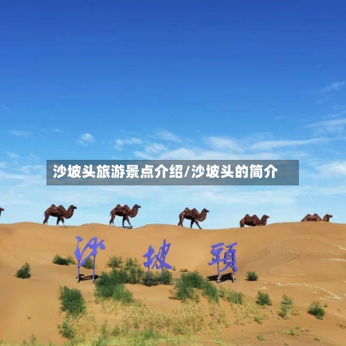 沙坡头旅游景点介绍/沙坡头的简介