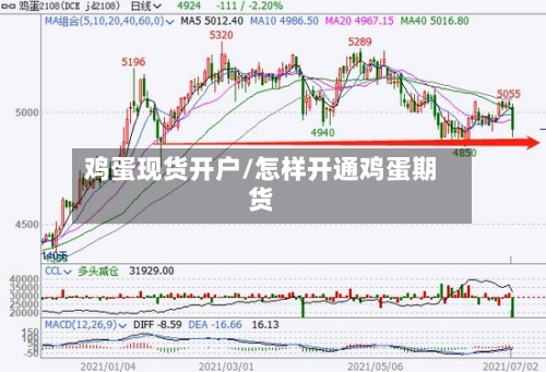 鸡蛋现货开户/怎样开通鸡蛋期货-第3张图片