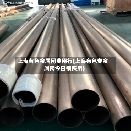 上海有色金属网费用行(上海有色贵金属网今日铜费用)-第2张图片