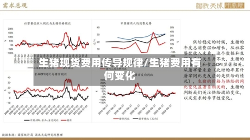 生猪现货费用传导规律/生猪费用有何变化