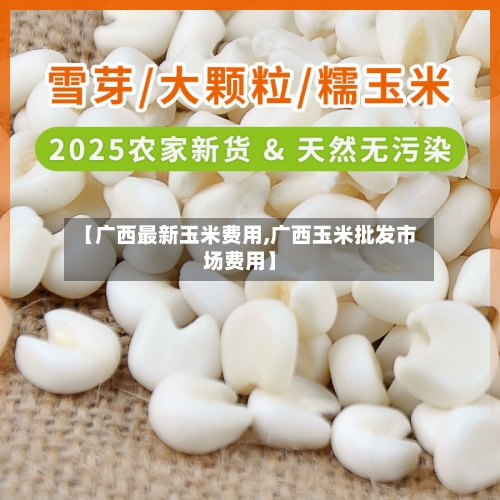 【广西最新玉米费用,广西玉米批发市场费用】