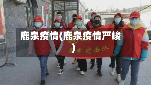 鹿泉疫情(鹿泉疫情严峻)