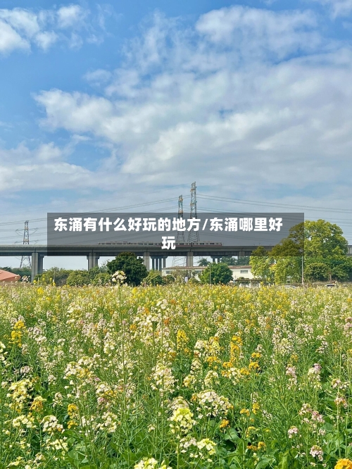 东涌有什么好玩的地方/东涌哪里好玩-第3张图片