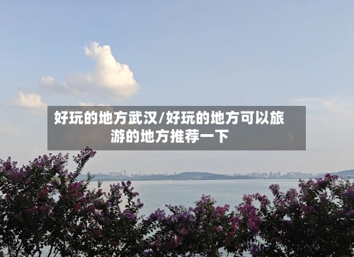 好玩的地方武汉/好玩的地方可以旅游的地方推荐一下-第2张图片