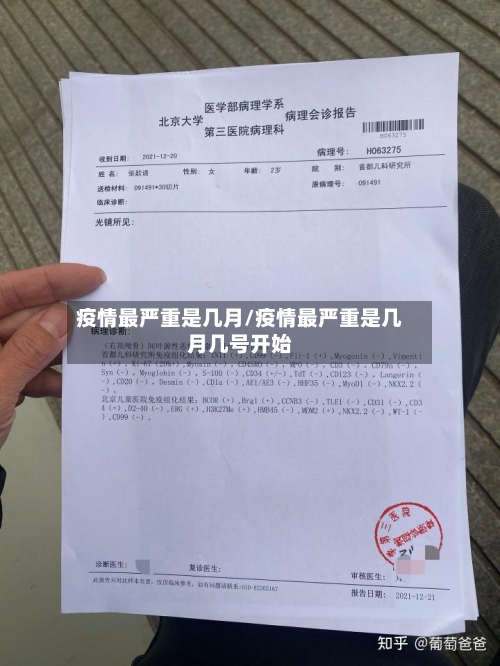 疫情最严重是几月/疫情最严重是几月几号开始-第2张图片