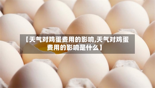 【天气对鸡蛋费用的影响,天气对鸡蛋费用的影响是什么】-第1张图片