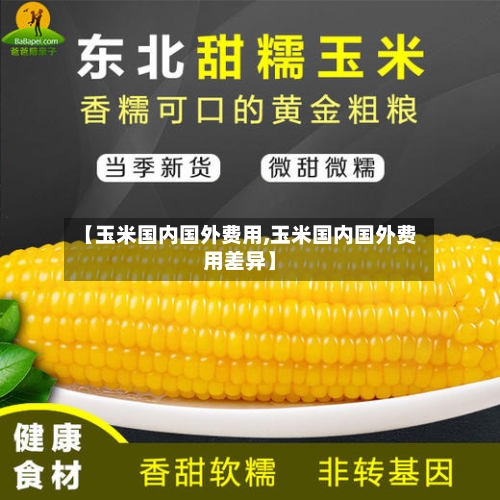 【玉米国内国外费用,玉米国内国外费用差异】