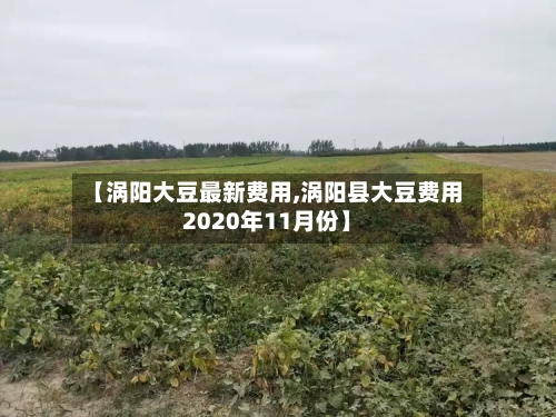 【涡阳大豆最新费用,涡阳县大豆费用2020年11月份】