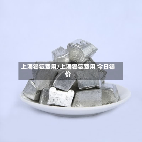 上海锡锭费用/上海锡锭费用 今日锡价-第2张图片