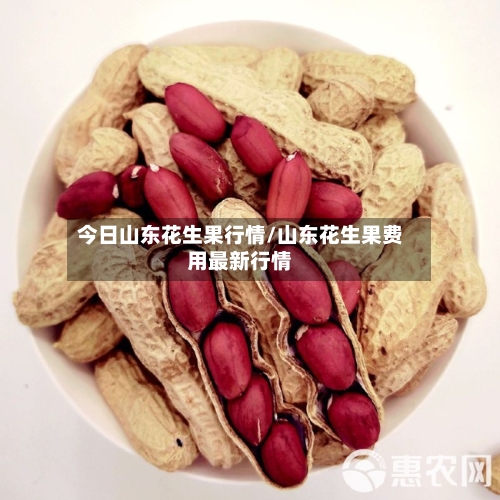 今日山东花生果行情/山东花生果费用最新行情-第2张图片
