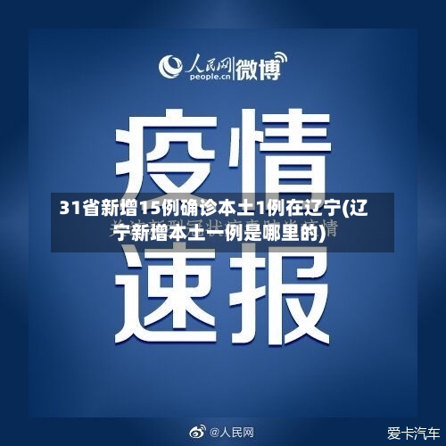 31省新增15例确诊本土1例在辽宁(辽宁新增本土一例是哪里的)