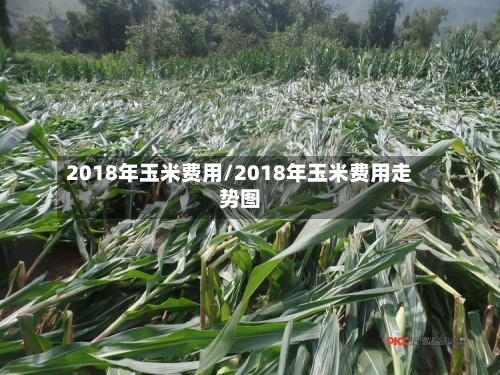 2018年玉米费用/2018年玉米费用走势图