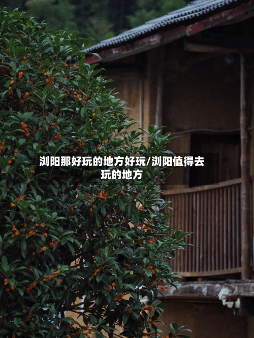 浏阳那好玩的地方好玩/浏阳值得去玩的地方