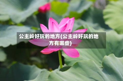 公主岭好玩的地方(公主岭好玩的地方有哪些)-第3张图片