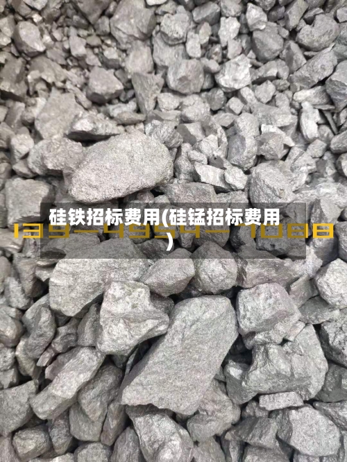 硅铁招标费用(硅锰招标费用)