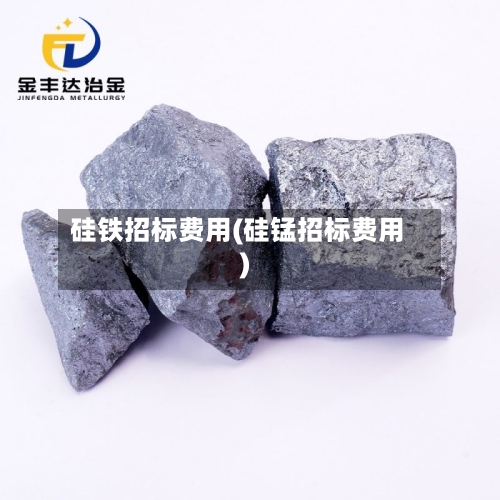 硅铁招标费用(硅锰招标费用)-第2张图片