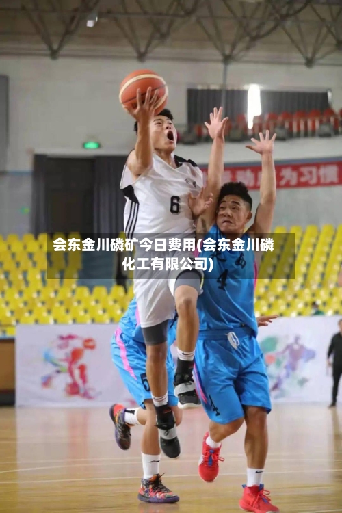 会东金川磷矿今日费用(会东金川磷化工有限公司)