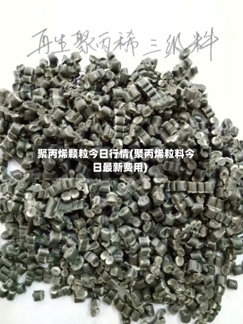聚丙烯颗粒今日行情(聚丙烯粒料今日最新费用)