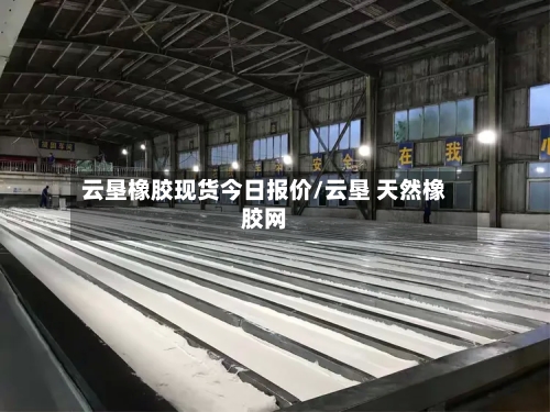云垦橡胶现货今日报价/云垦 天然橡胶网-第2张图片