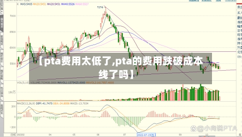 【pta费用太低了,pta的费用跌破成本线了吗】