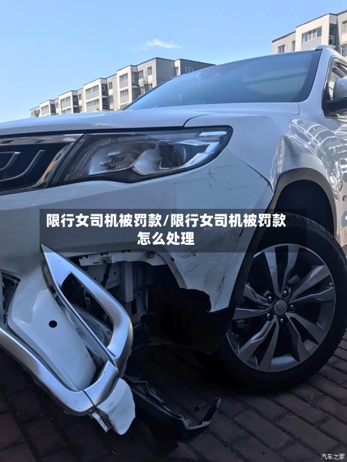 限行女司机被罚款/限行女司机被罚款怎么处理