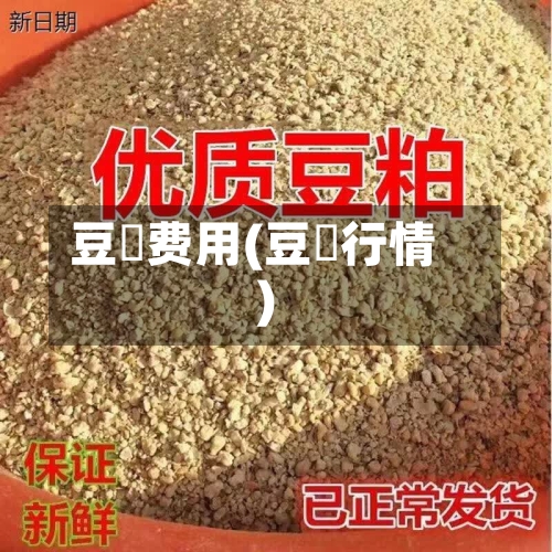 豆栢费用(豆粨行情)-第3张图片