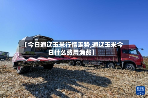 【今日通辽玉米行情走势,通辽玉米今日什么费用消费】