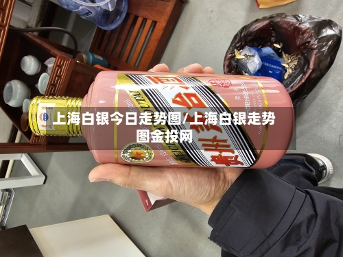 上海白银今日走势图/上海白银走势图金投网-第2张图片