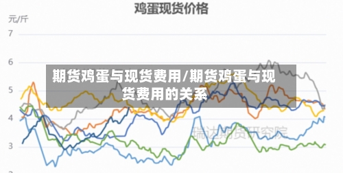 期货鸡蛋与现货费用/期货鸡蛋与现货费用的关系-第2张图片