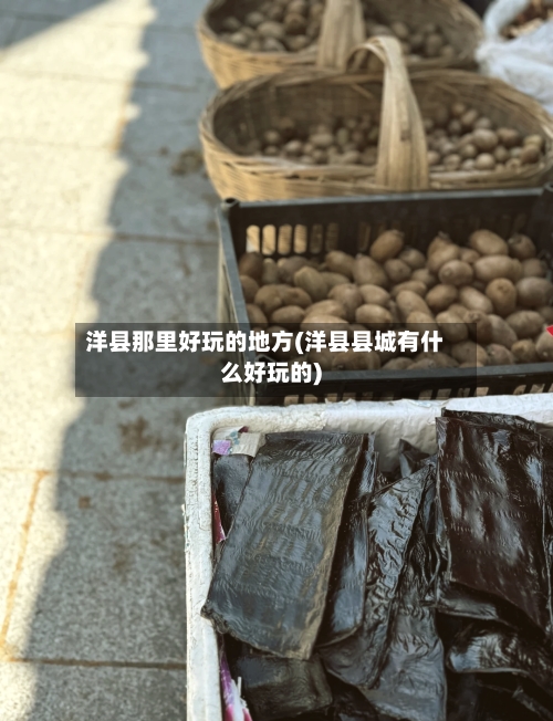 洋县那里好玩的地方(洋县县城有什么好玩的)-第2张图片