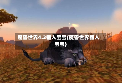 魔兽世界4.3猎人宝宝(魔兽世界猎人 宝宝)-第2张图片