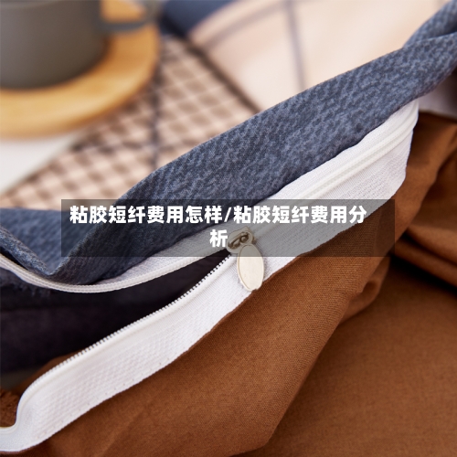 粘胶短纤费用怎样/粘胶短纤费用分析
