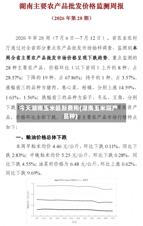 今天湖南玉米最新费用(湖南玉米高产品种)
