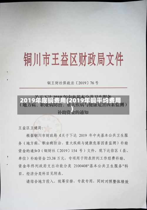 2019年底铜费用(2019年铜平均费用)