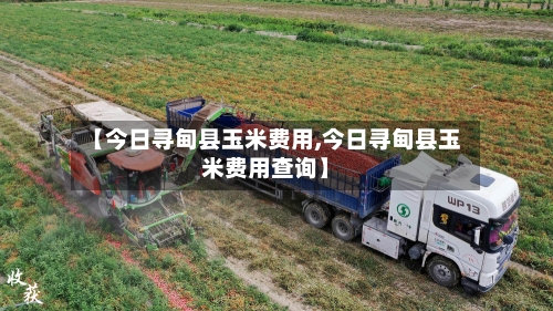 【今日寻甸县玉米费用,今日寻甸县玉米费用查询】