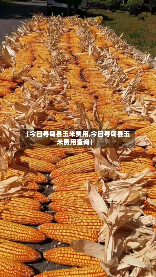 【今日寻甸县玉米费用,今日寻甸县玉米费用查询】-第3张图片