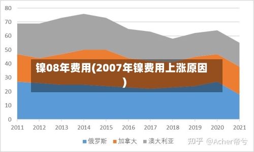 镍08年费用(2007年镍费用上涨原因)-第2张图片