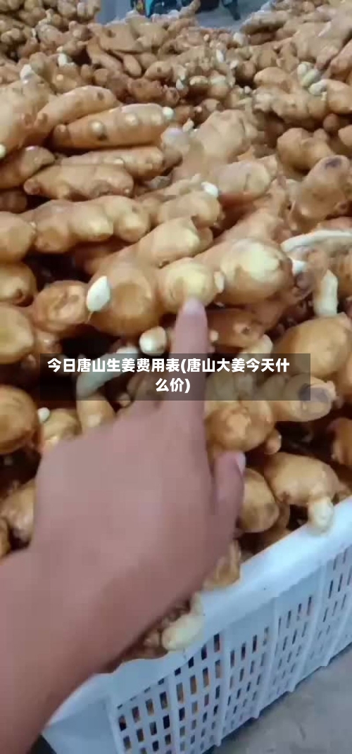 今日唐山生姜费用表(唐山大姜今天什么价)-第3张图片