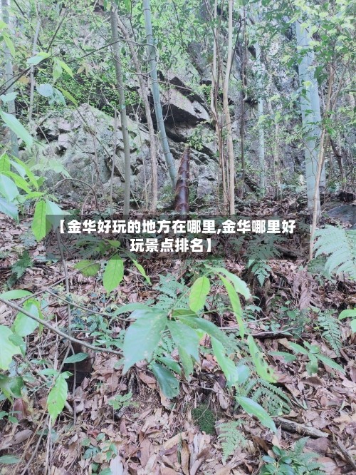 【金华好玩的地方在哪里,金华哪里好玩景点排名】-第2张图片