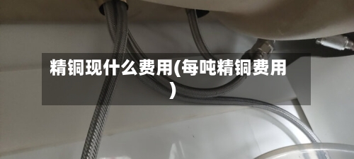 精铜现什么费用(每吨精铜费用)