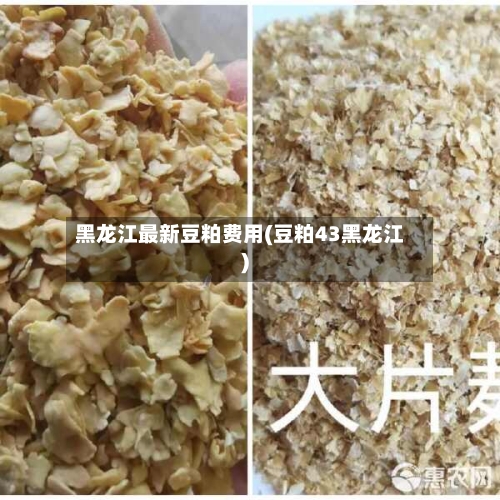 黑龙江最新豆粕费用(豆粕43黑龙江)
