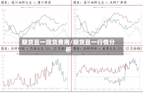 期货豆一现货费用/期货豆一行情分析