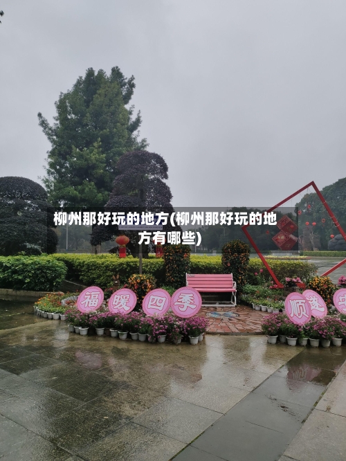 柳州那好玩的地方(柳州那好玩的地方有哪些)-第2张图片