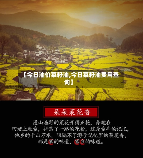 【今日油价菜籽油,今日菜籽油费用查询】