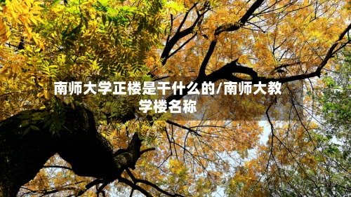 南师大学正楼是干什么的/南师大教学楼名称