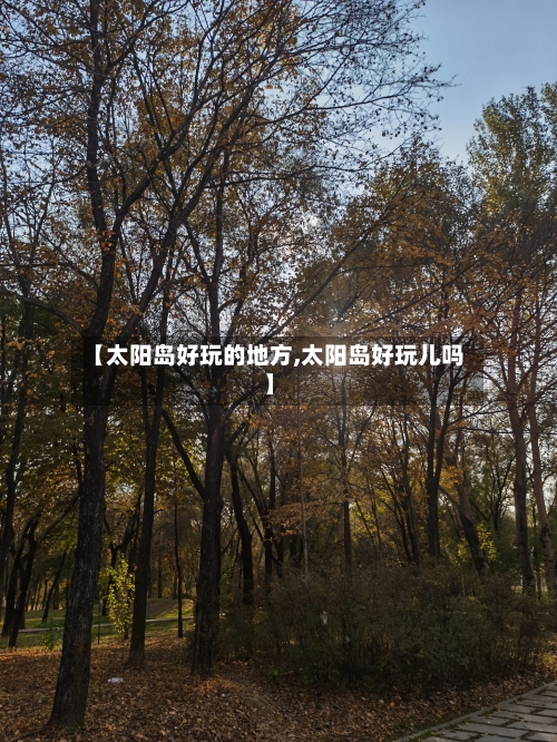 【太阳岛好玩的地方,太阳岛好玩儿吗】-第2张图片
