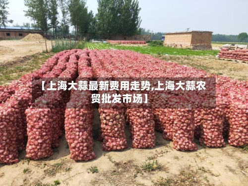 【上海大蒜最新费用走势,上海大蒜农贸批发市场】-第2张图片