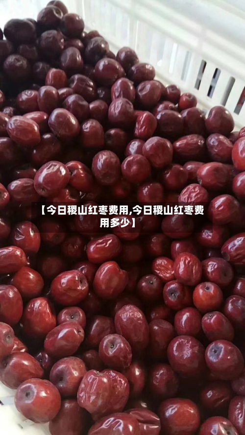 【今日稷山红枣费用,今日稷山红枣费用多少】