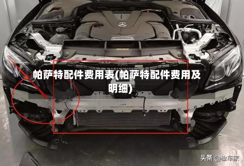 帕萨特配件费用表(帕萨特配件费用及明细)-第2张图片
