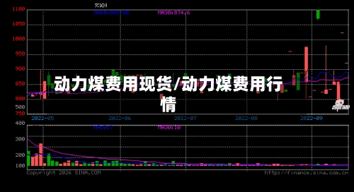 动力煤费用现货/动力煤费用行情